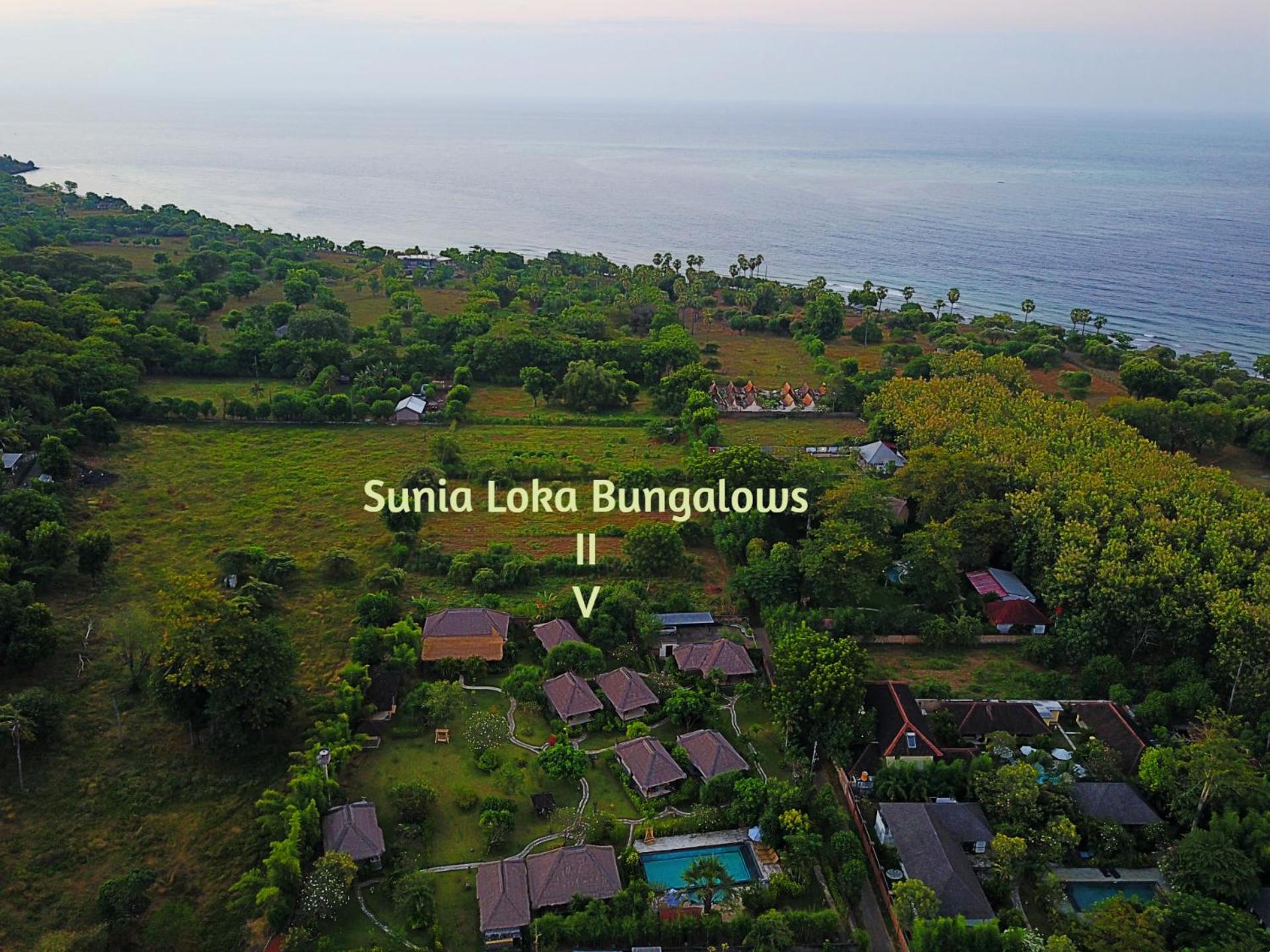 Sunia Loka Bungalows & Dive Center Pemuteran Eksteriør billede