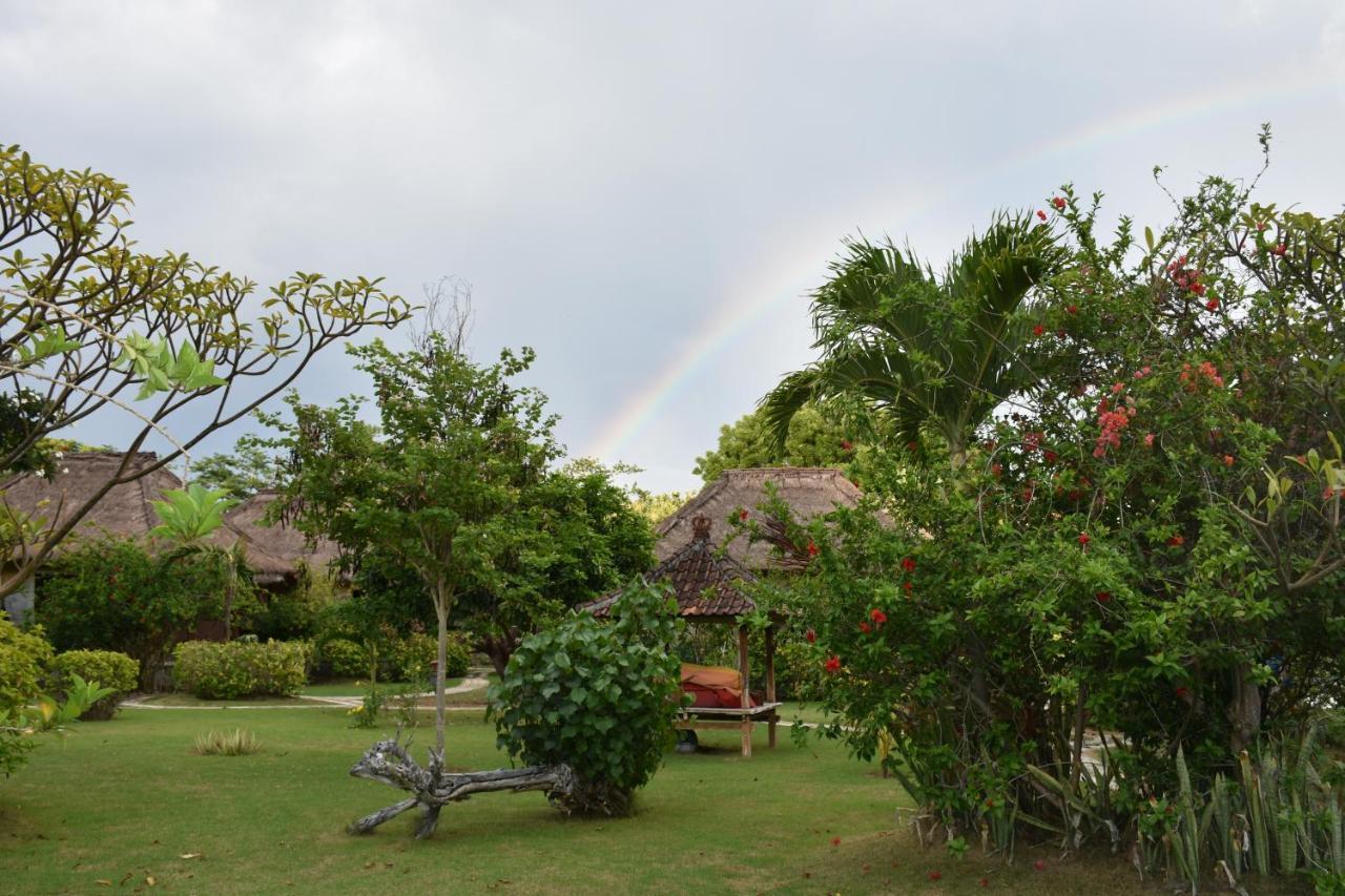 Sunia Loka Bungalows & Dive Center Pemuteran Eksteriør billede